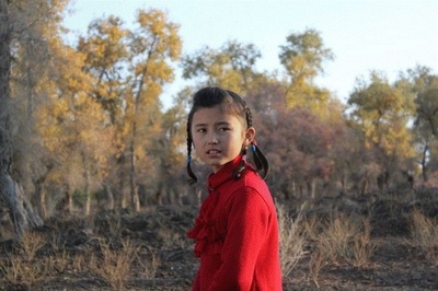 胡杨深处是我家剧照的剧照