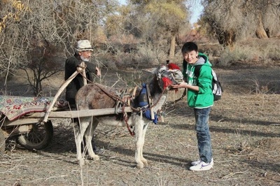 胡杨深处是我家剧照的剧照