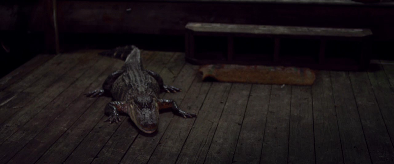 女生部里的秘密剧照的剧照