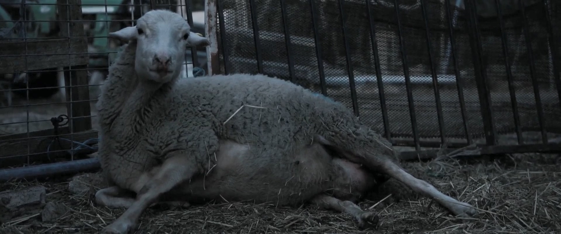 宿命，吾爱：第一部剧照的剧照