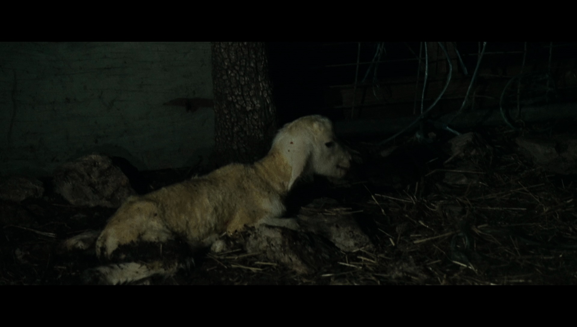 宿命，吾爱：第一部剧照的剧照