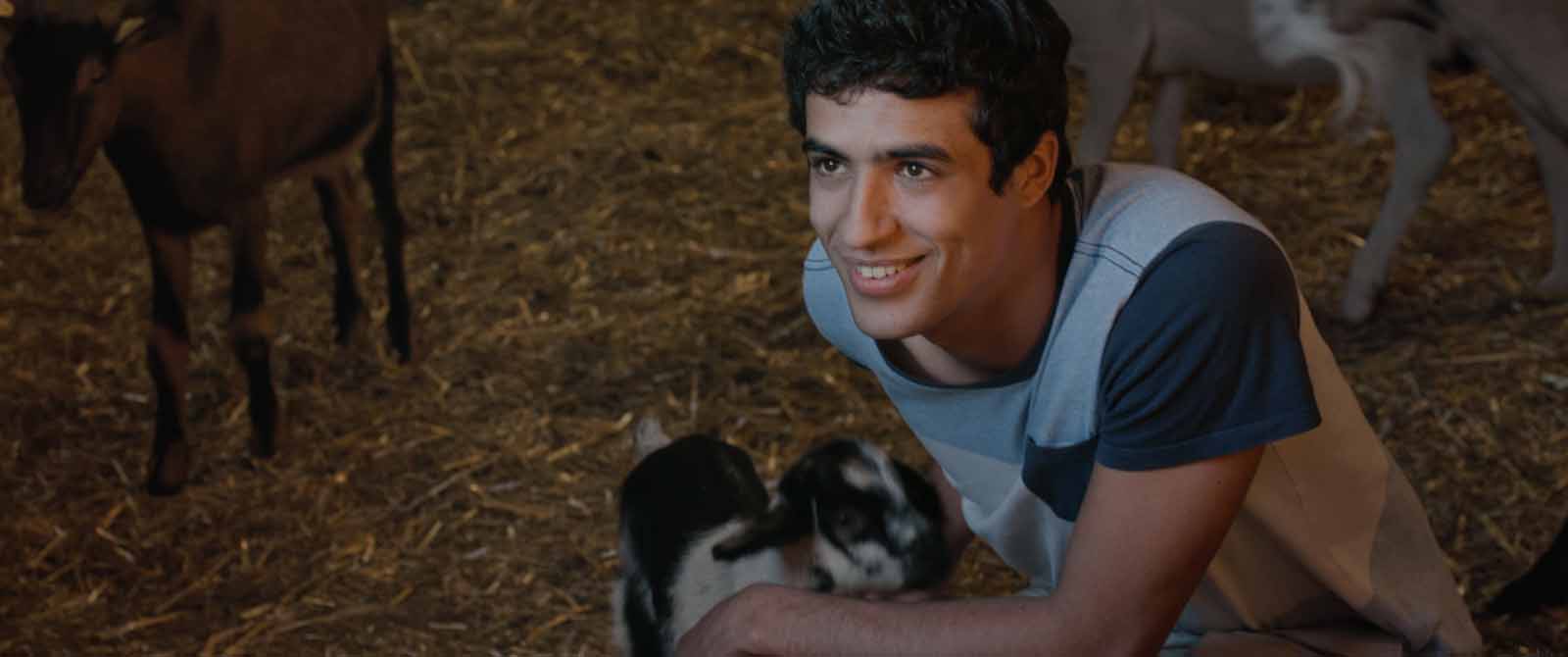 宿命，吾爱：第一部剧照的剧照