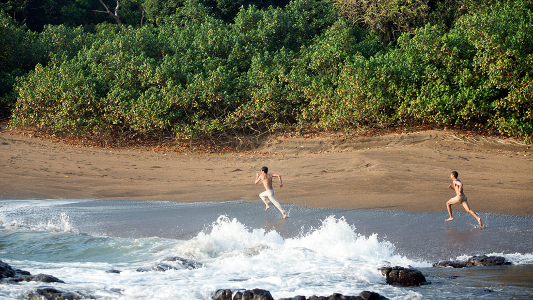 梦呓雨林剧照的剧照