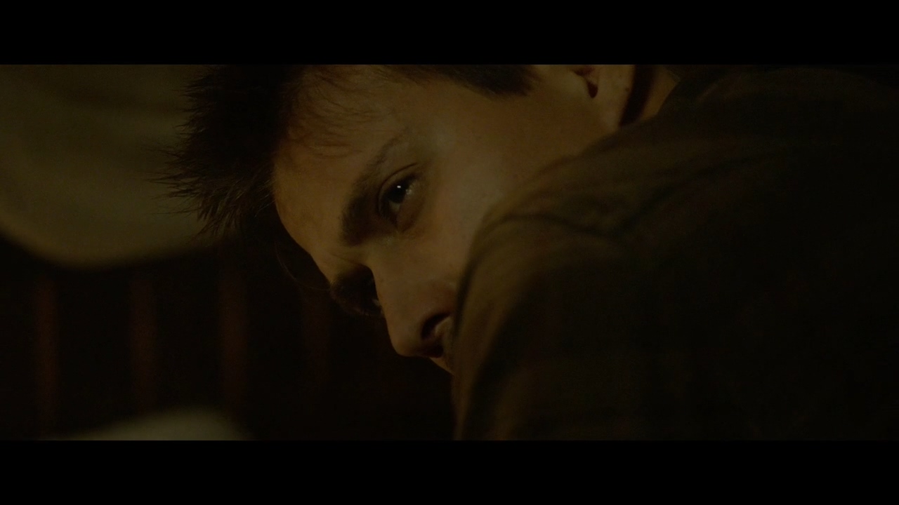 梦呓雨林剧照的剧照