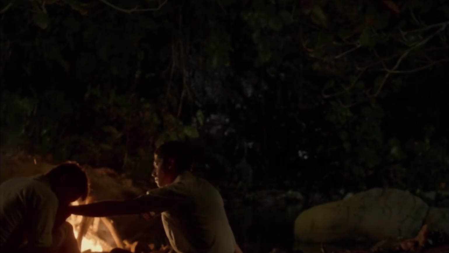 梦呓雨林剧照的剧照