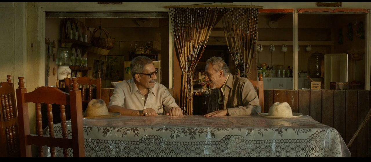 梦呓雨林剧照的剧照