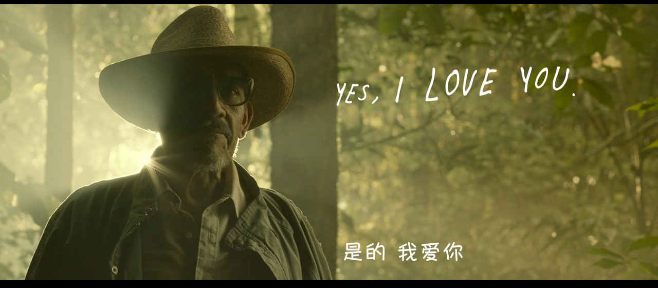 梦呓雨林剧照的剧照