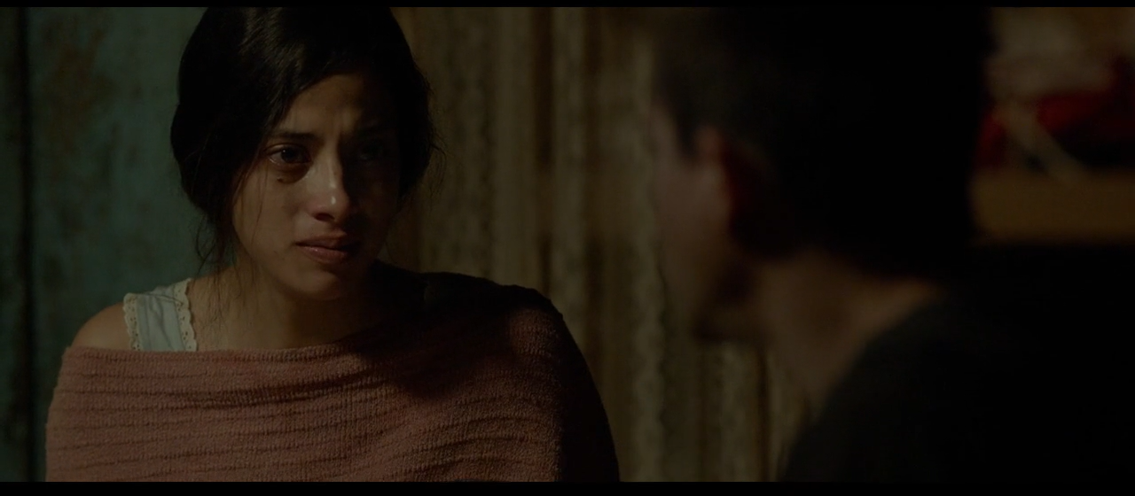 梦呓雨林剧照的剧照