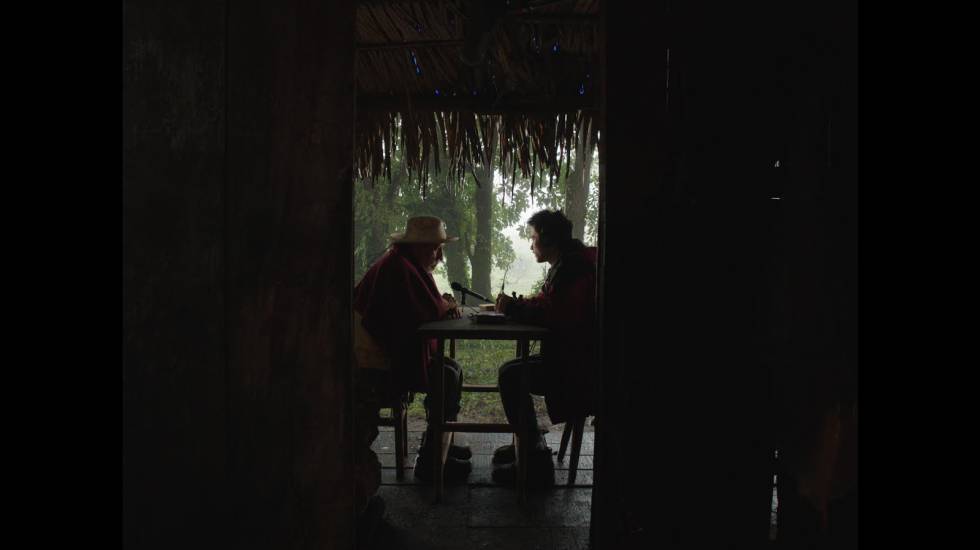 梦呓雨林剧照的剧照
