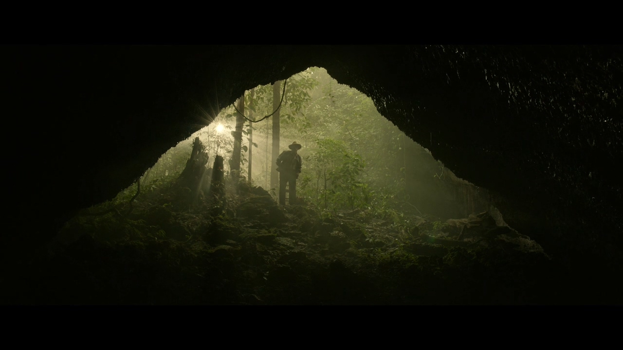 梦呓雨林剧照的剧照