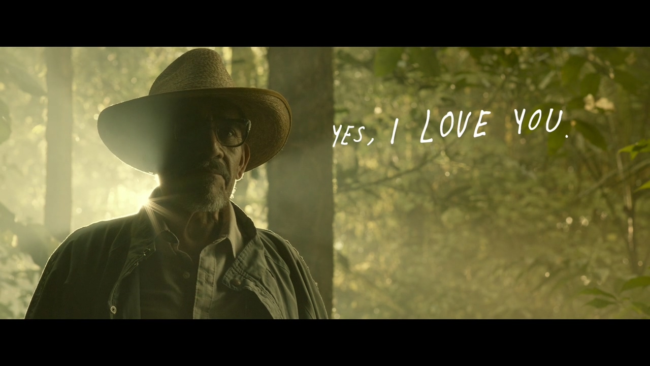 梦呓雨林剧照的剧照