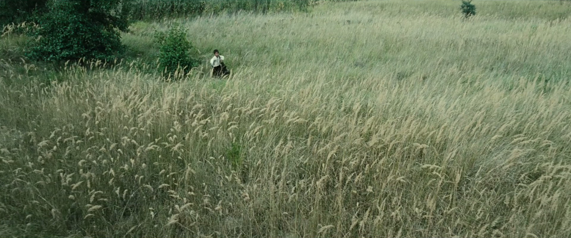 流浪的尤莱克剧照的剧照