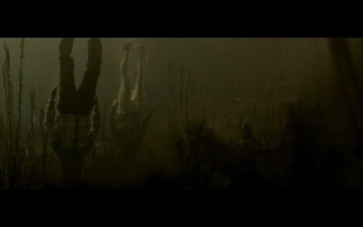 博格曼剧照的剧照