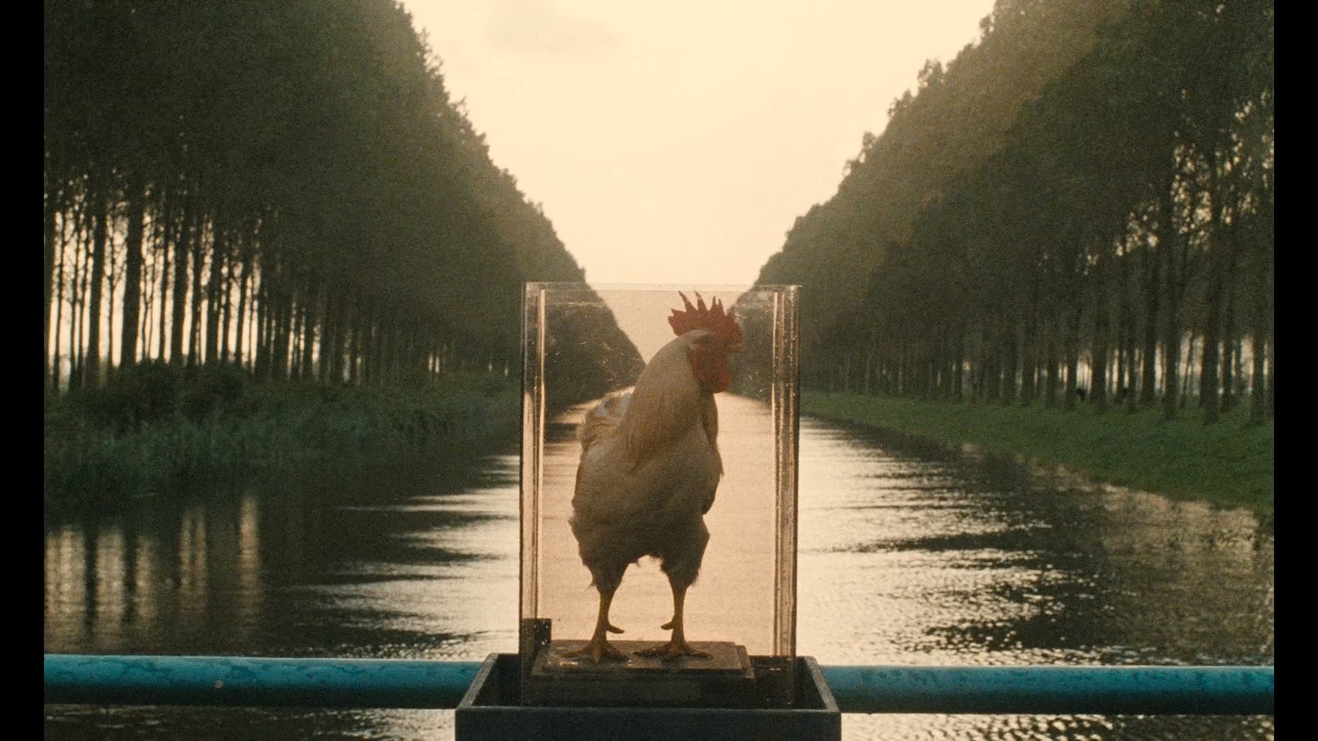 千面珍宝金剧照的剧照