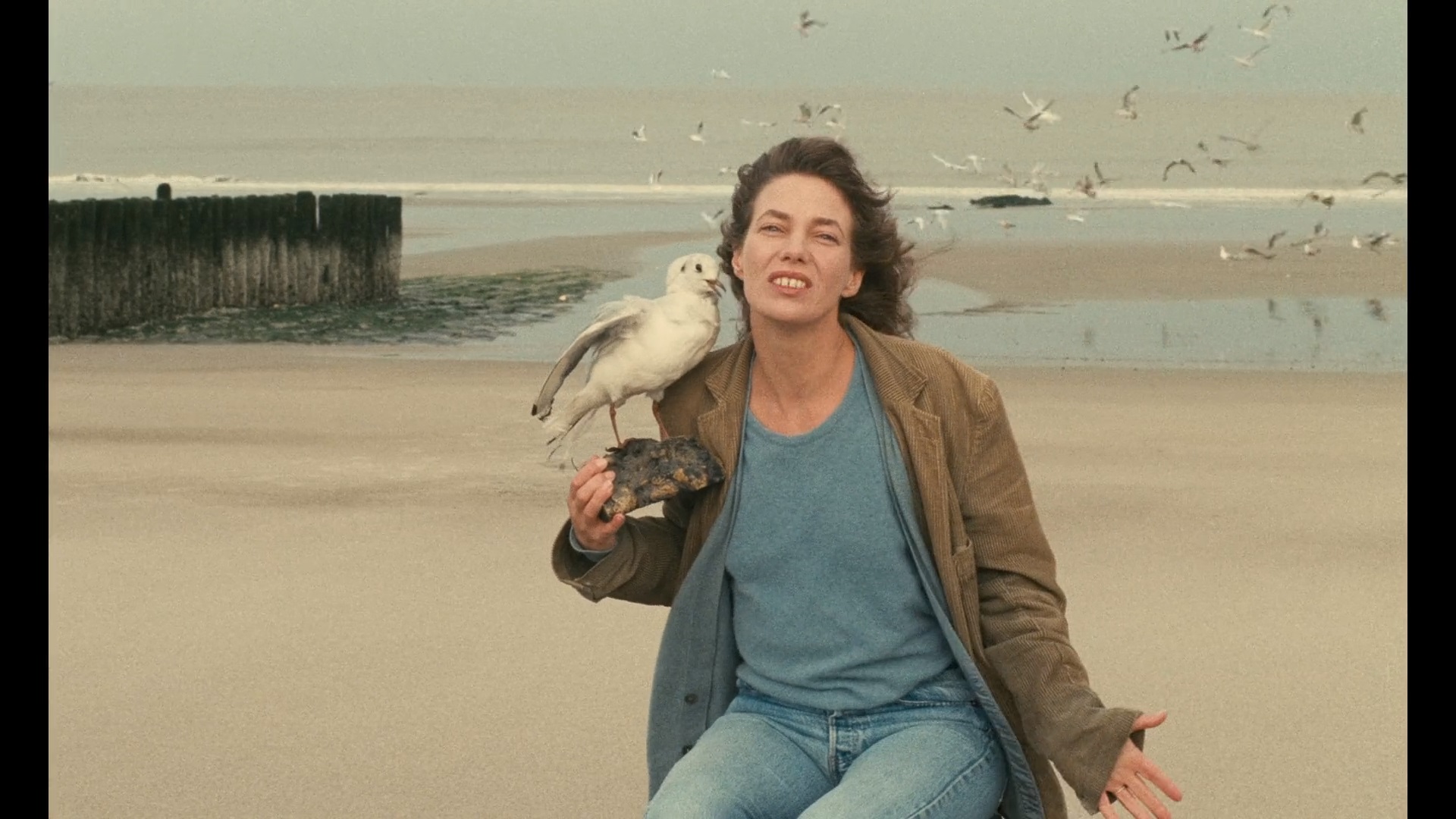 千面珍宝金剧照的剧照