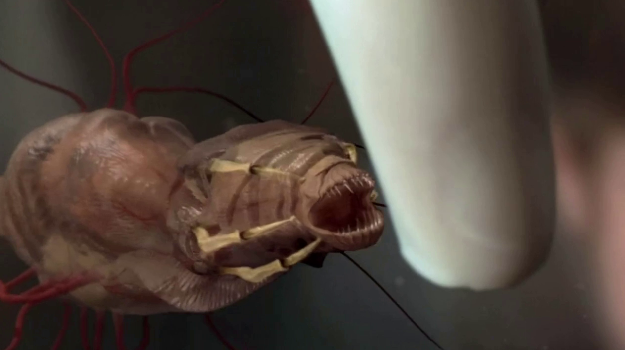 老师不是人剧照的剧照