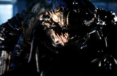 老师不是人剧照的剧照