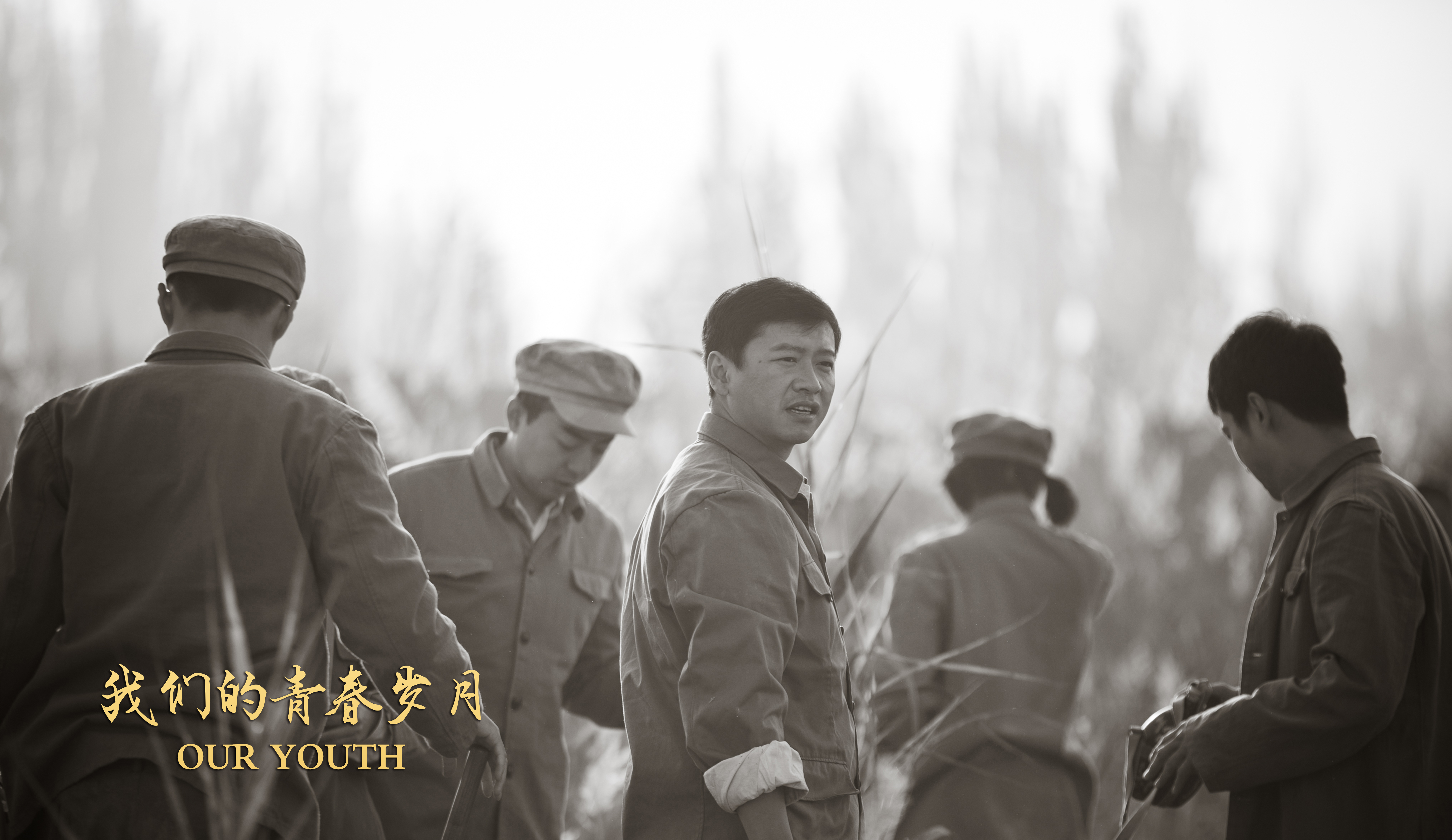 我们的青春岁月剧照的剧照