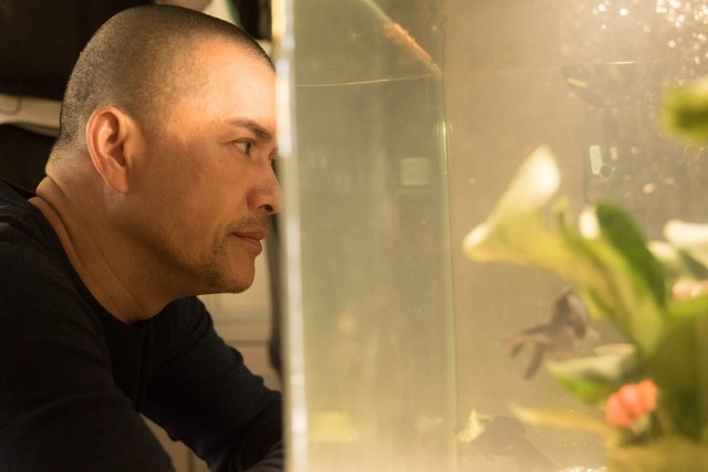 黄金花剧照的剧照