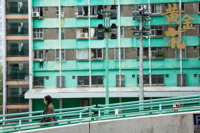 黄金花剧照的剧照