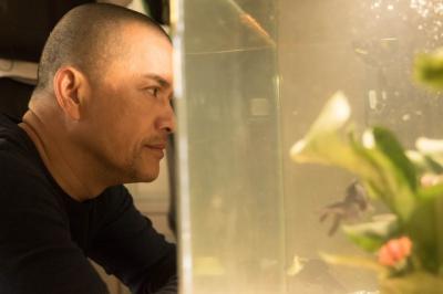 黄金花剧照的剧照