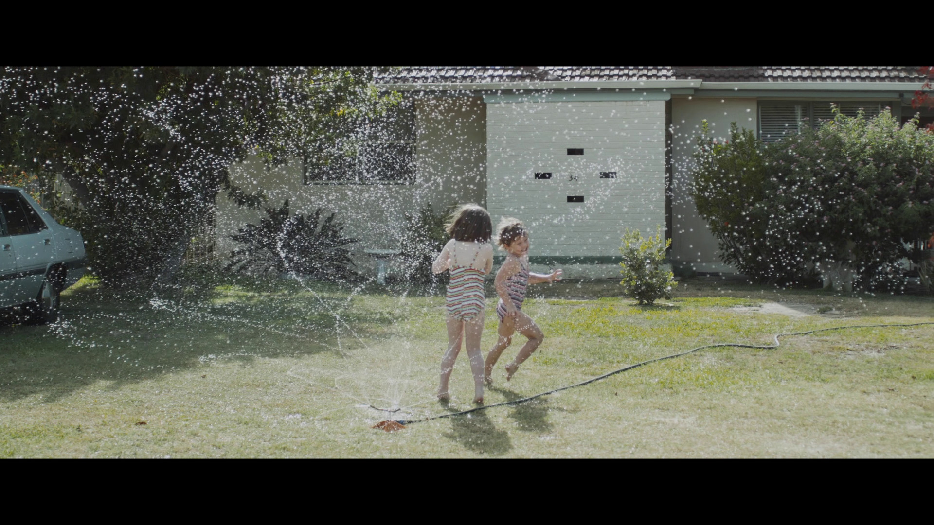 爱的猎犬剧照的剧照