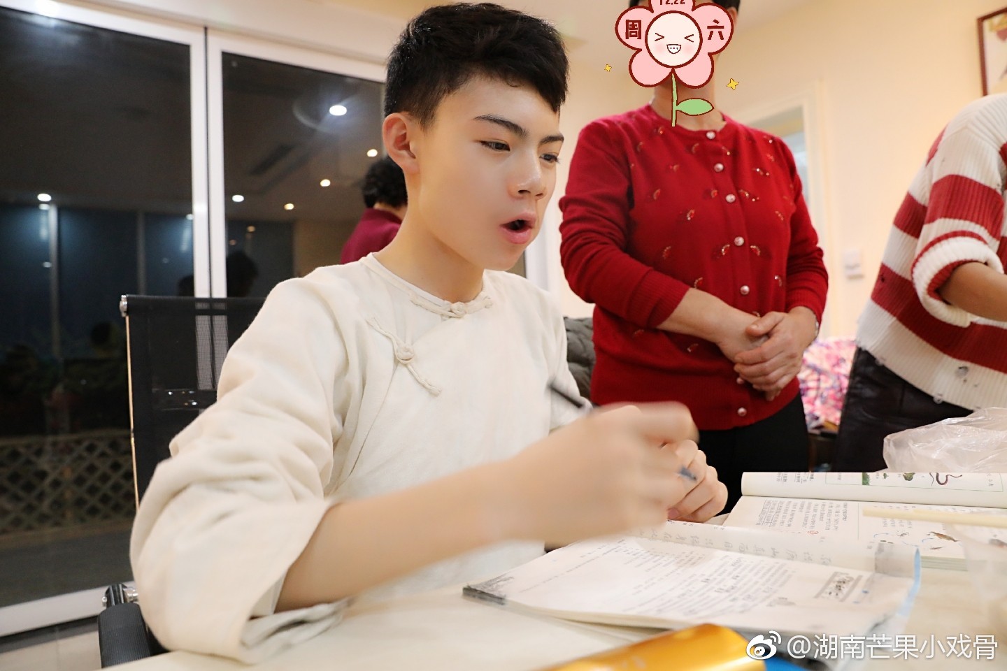 小戏骨：黄飞鸿之狮王争霸剧照的剧照