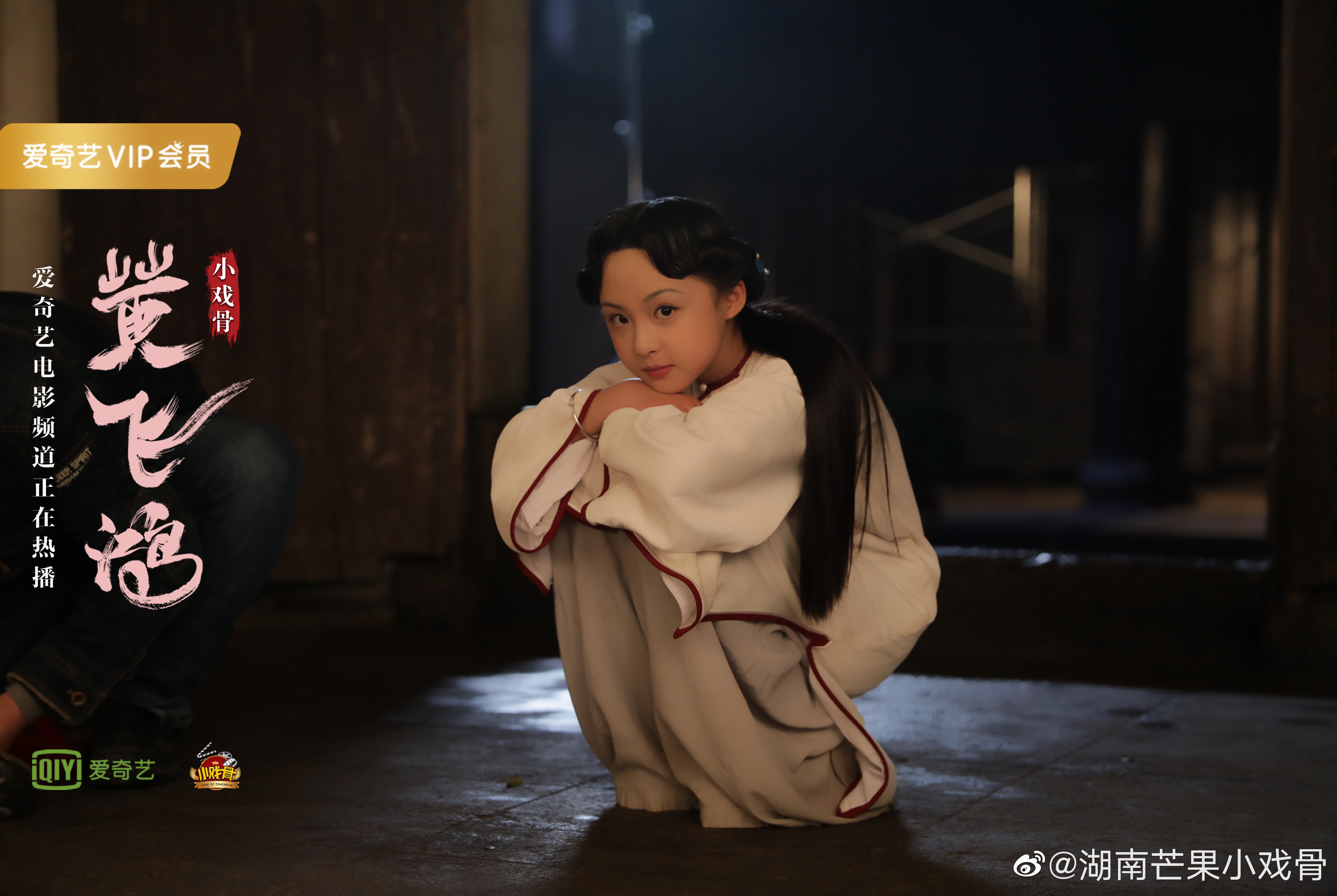 小戏骨：黄飞鸿之狮王争霸剧照的剧照