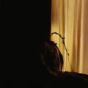 尸奶俱乐部剧照