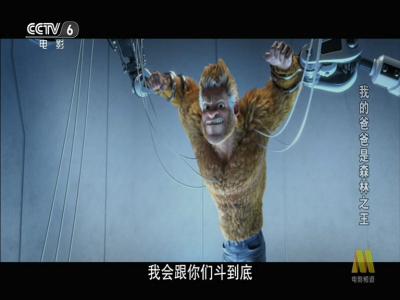 我的爸爸是森林之王剧照的剧照