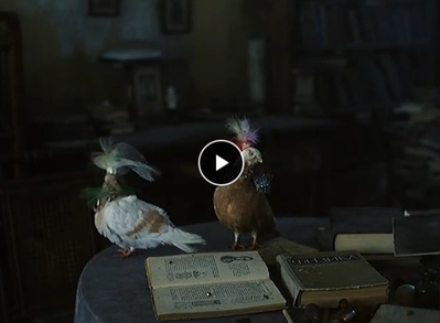 房子剧照的剧照