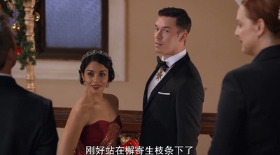 公主大对换剧照的剧照