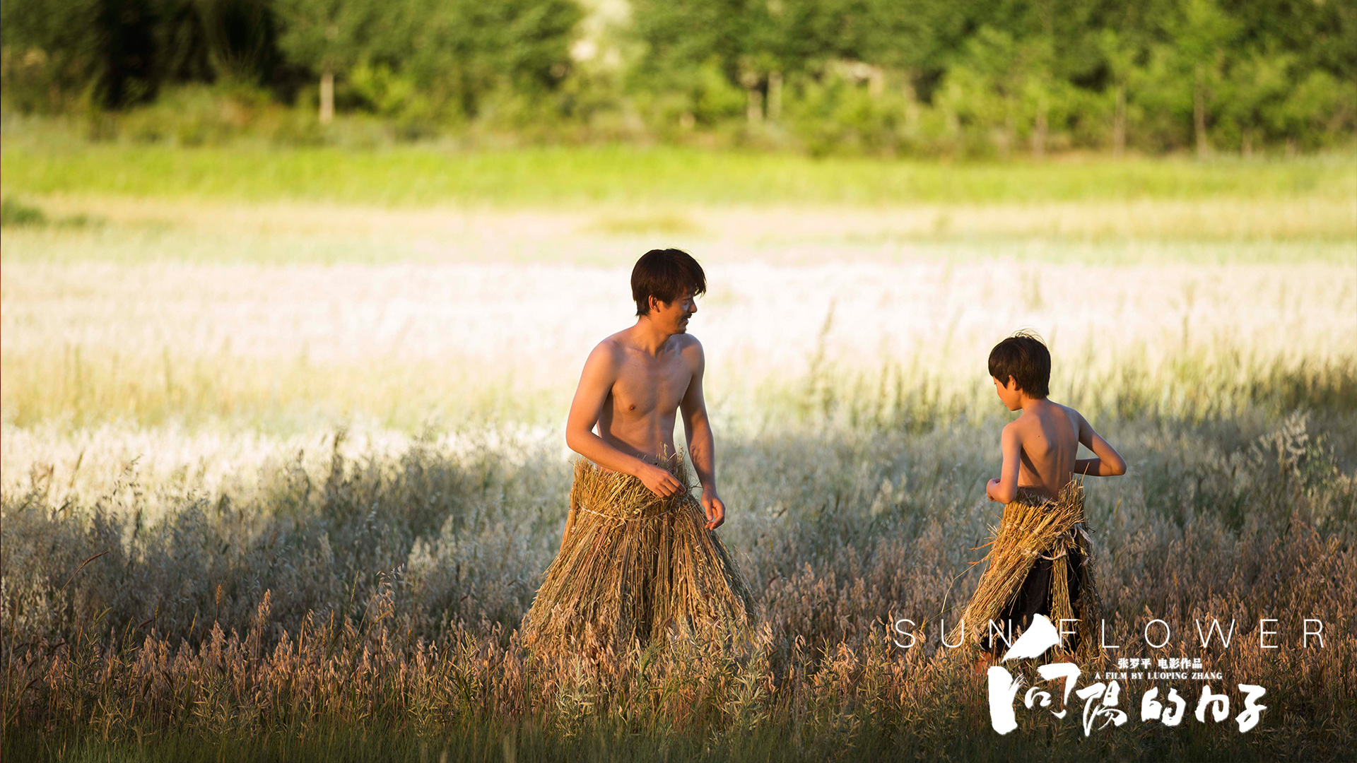 向阳的日子剧照的剧照