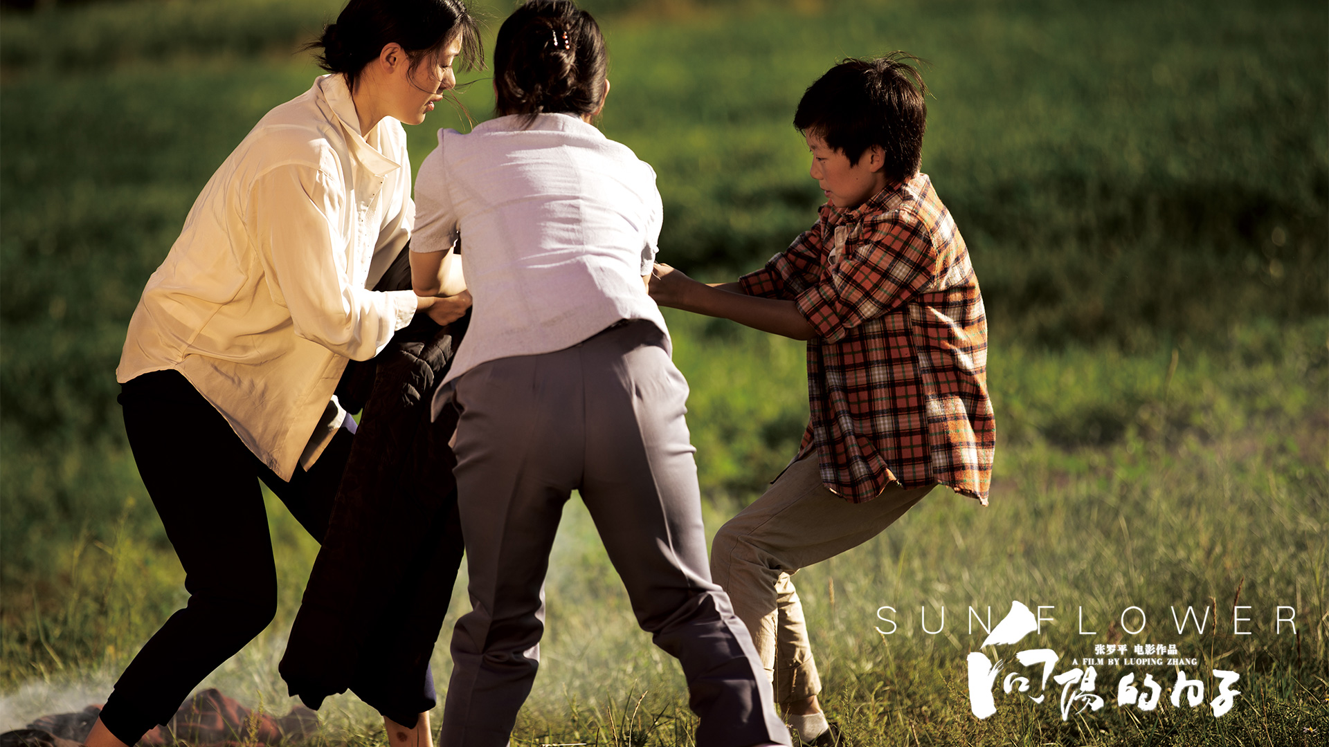 向阳的日子剧照的剧照