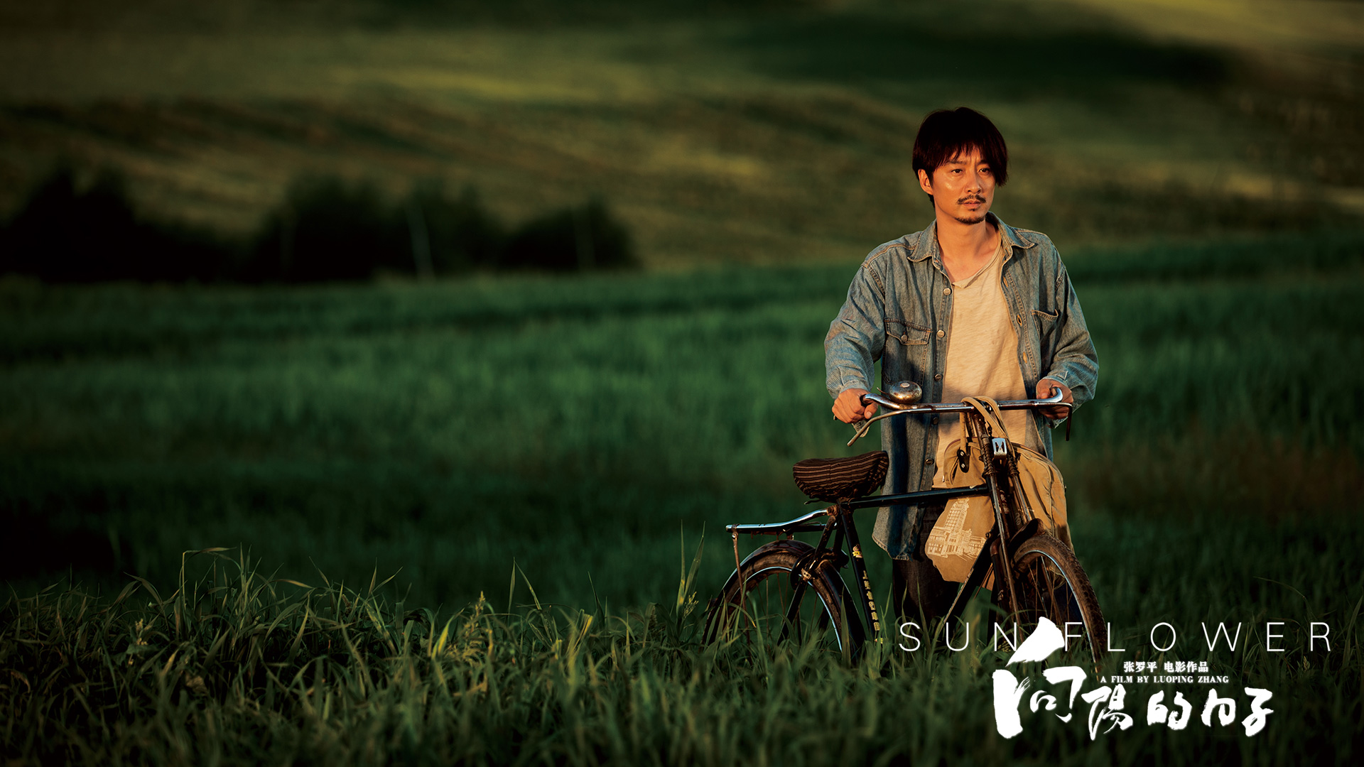 向阳的日子剧照的剧照