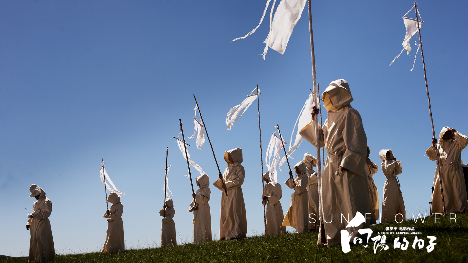 向阳的日子剧照的剧照