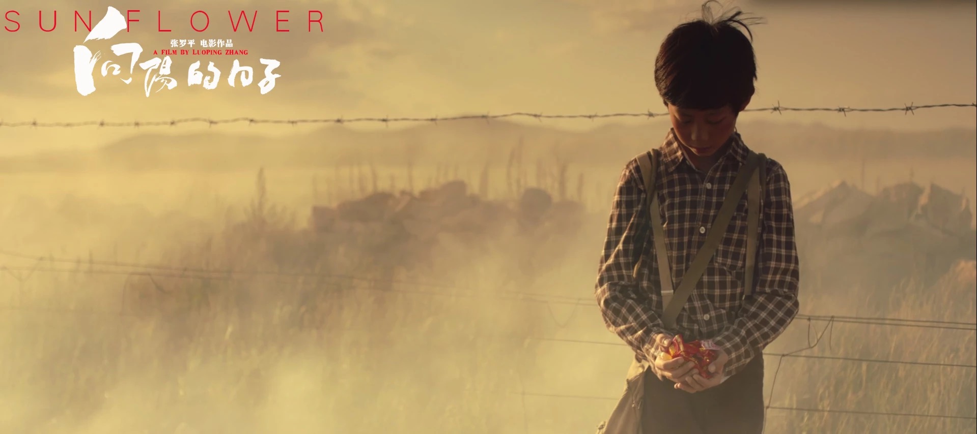 向阳的日子剧照的剧照