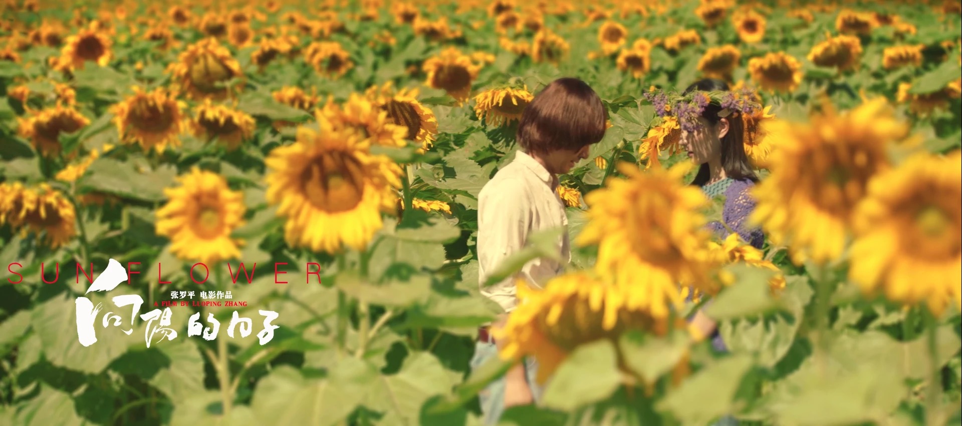 向阳的日子剧照的剧照