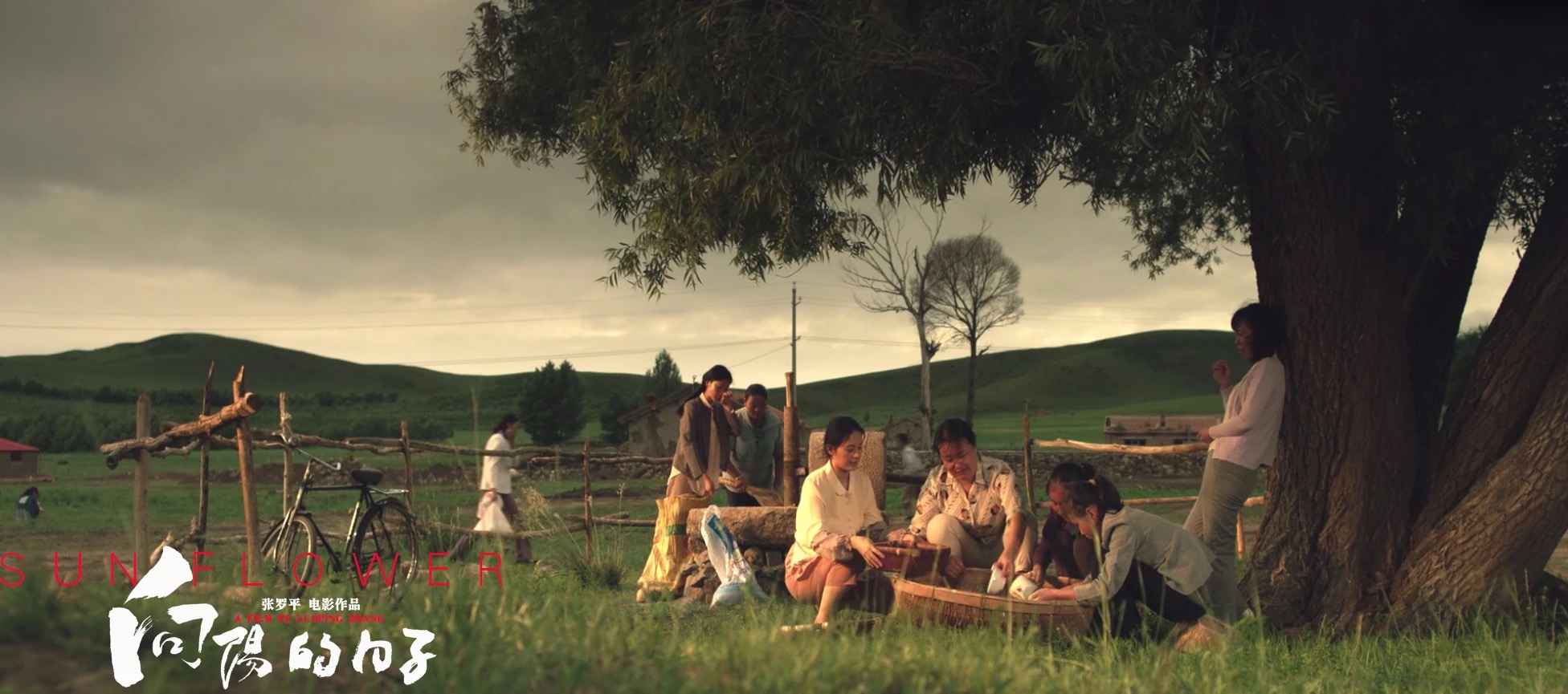 向阳的日子剧照的剧照