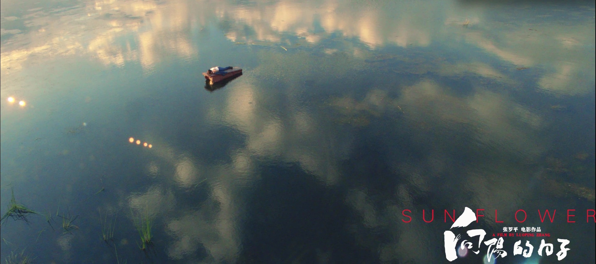 向阳的日子剧照的剧照