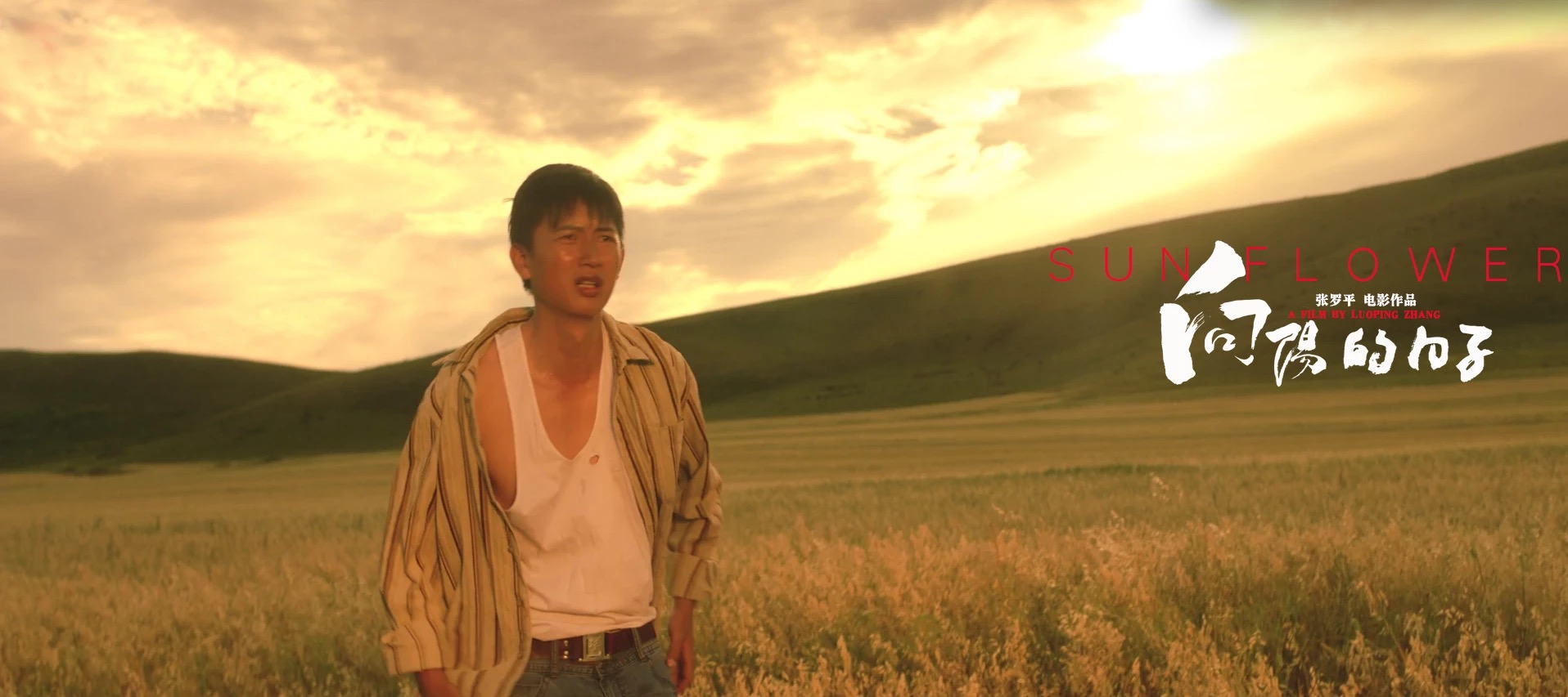 向阳的日子剧照的剧照