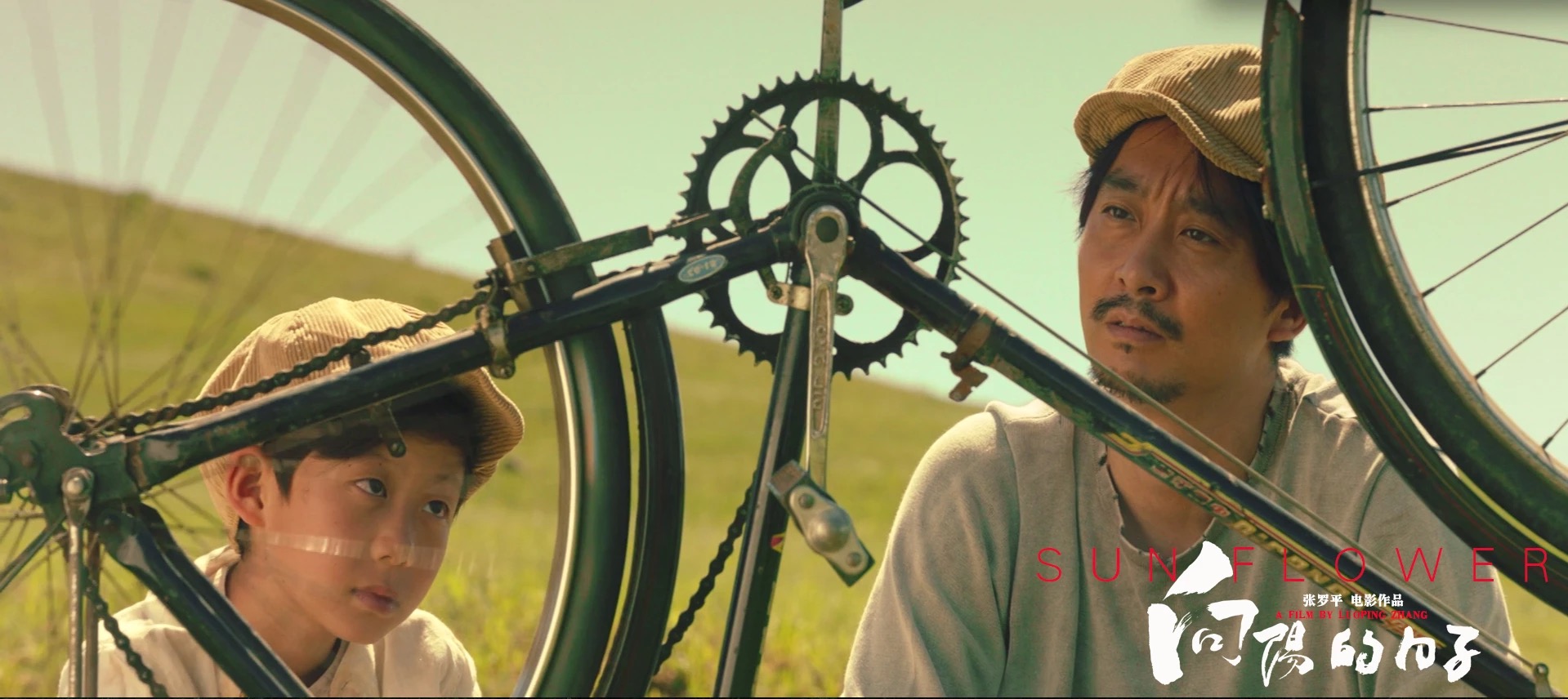 向阳的日子剧照的剧照