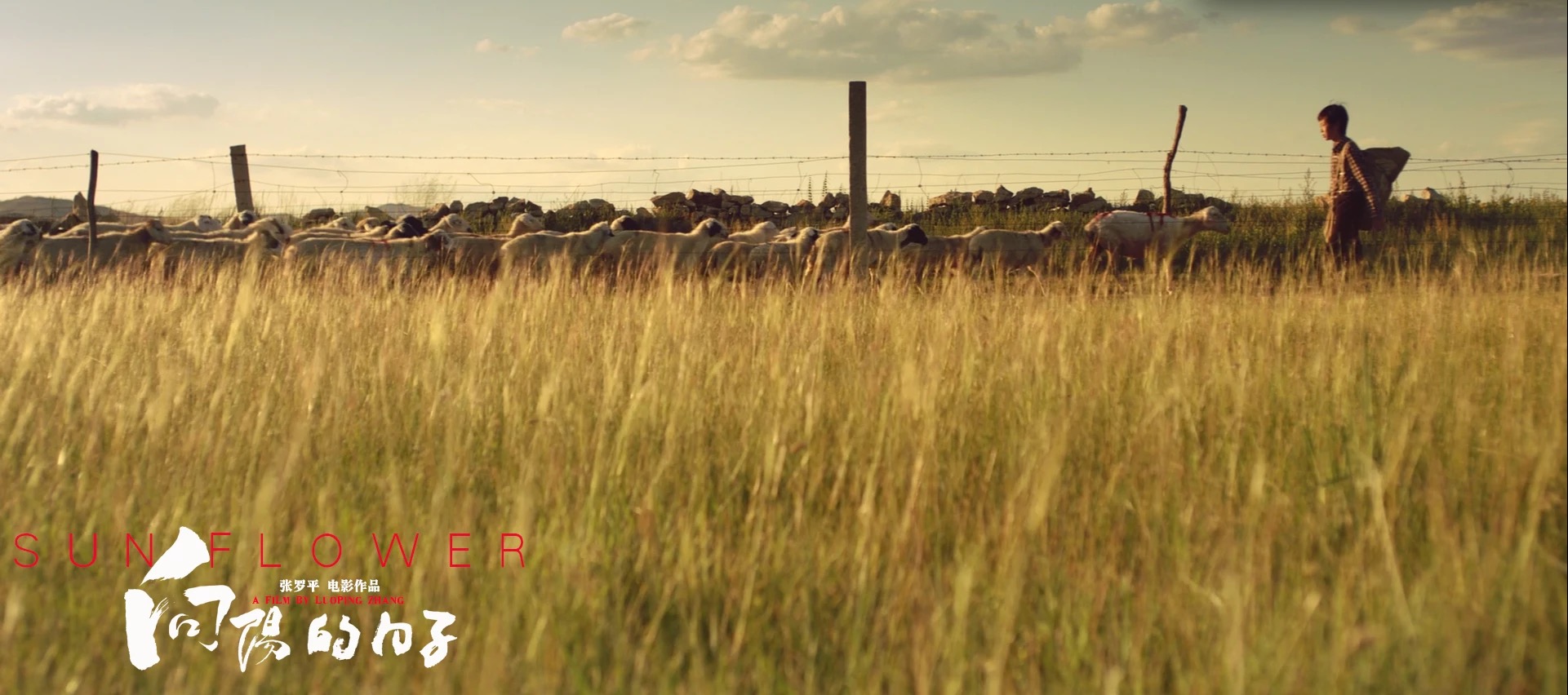 向阳的日子剧照的剧照