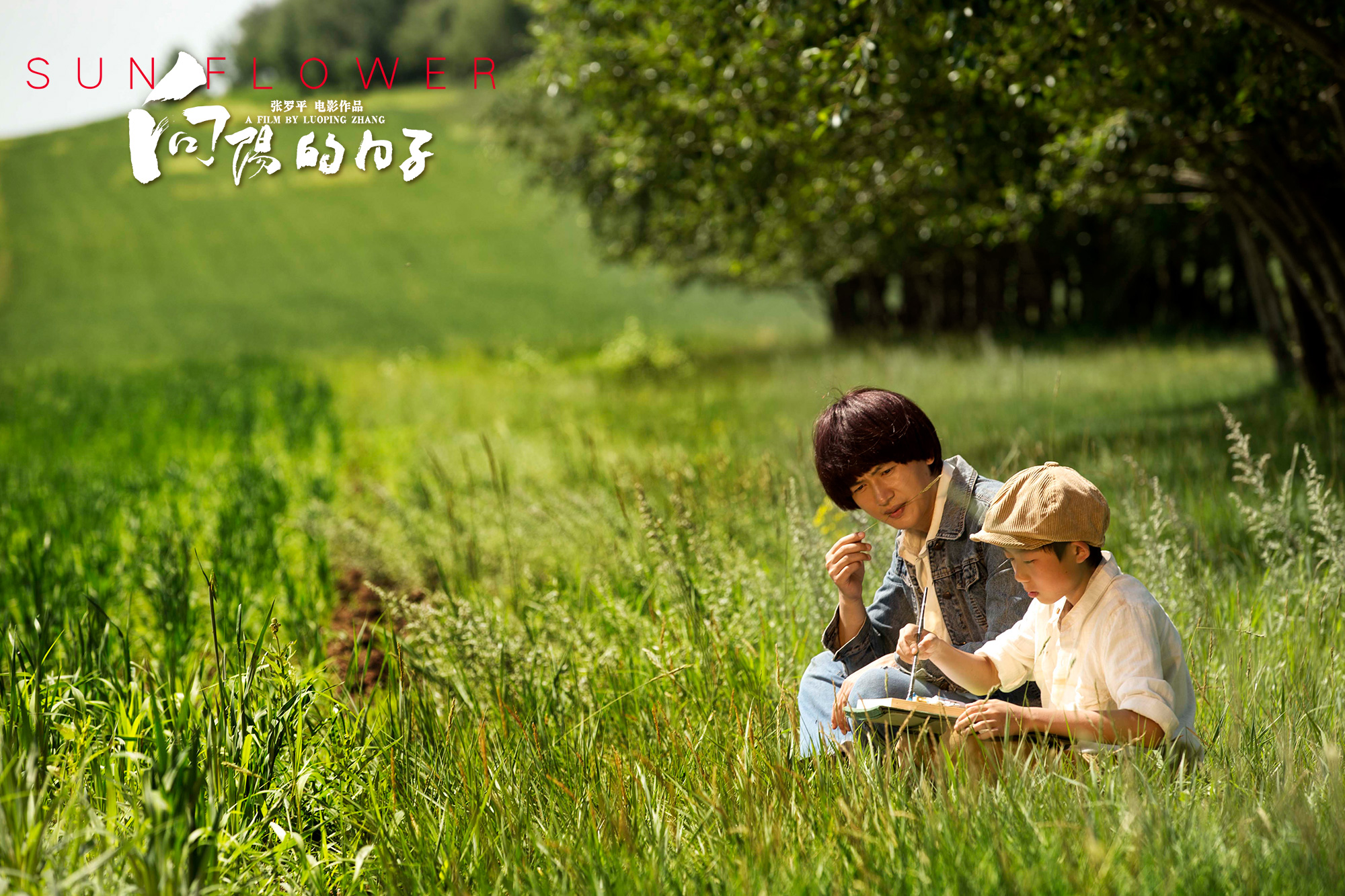 向阳的日子剧照的剧照