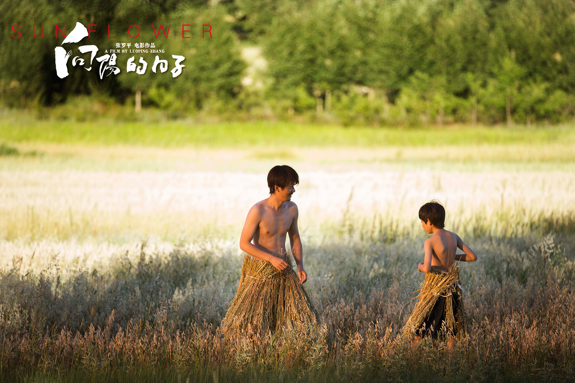 向阳的日子剧照的剧照