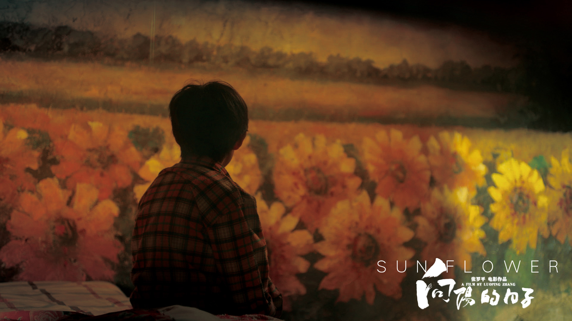 向阳的日子剧照的剧照