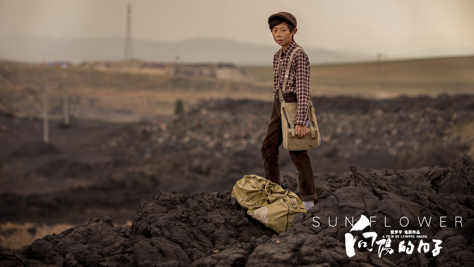 向阳的日子剧照的剧照