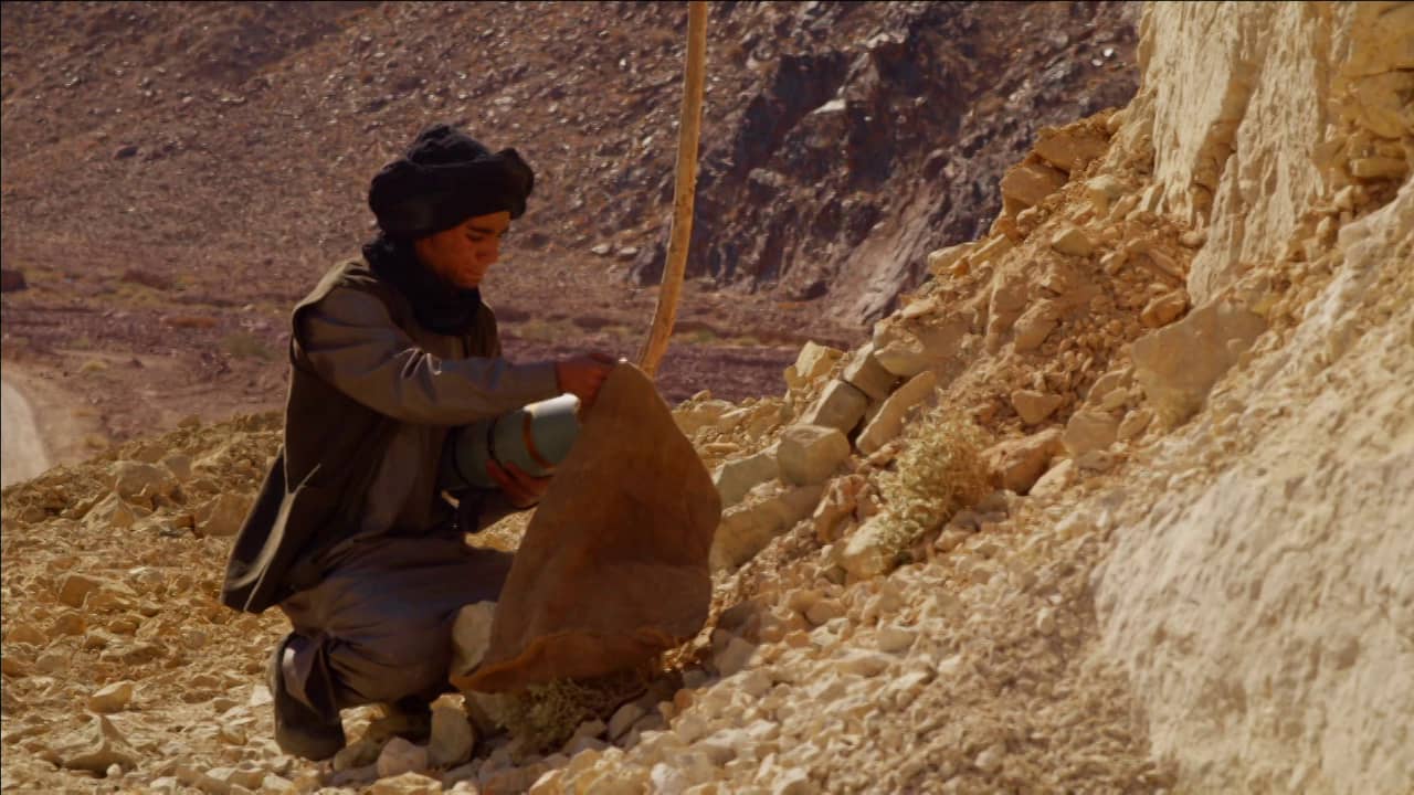 鬣狗之路剧照的剧照