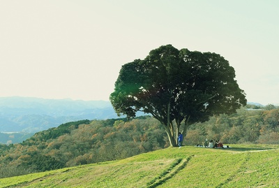 重返17岁剧照的剧照
