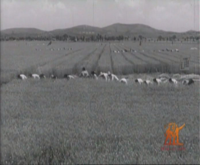 红旗渠剧照的剧照